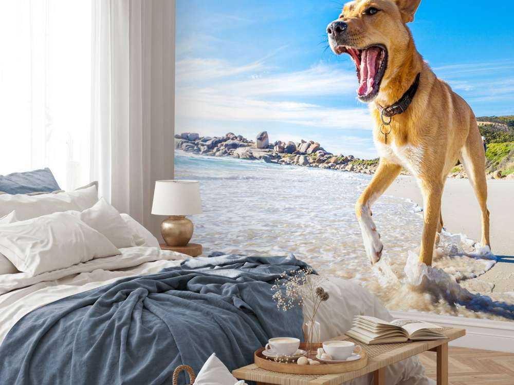 Hond in de zomer op het strand