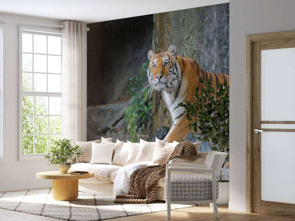 Een grote Sumatraanse tijger