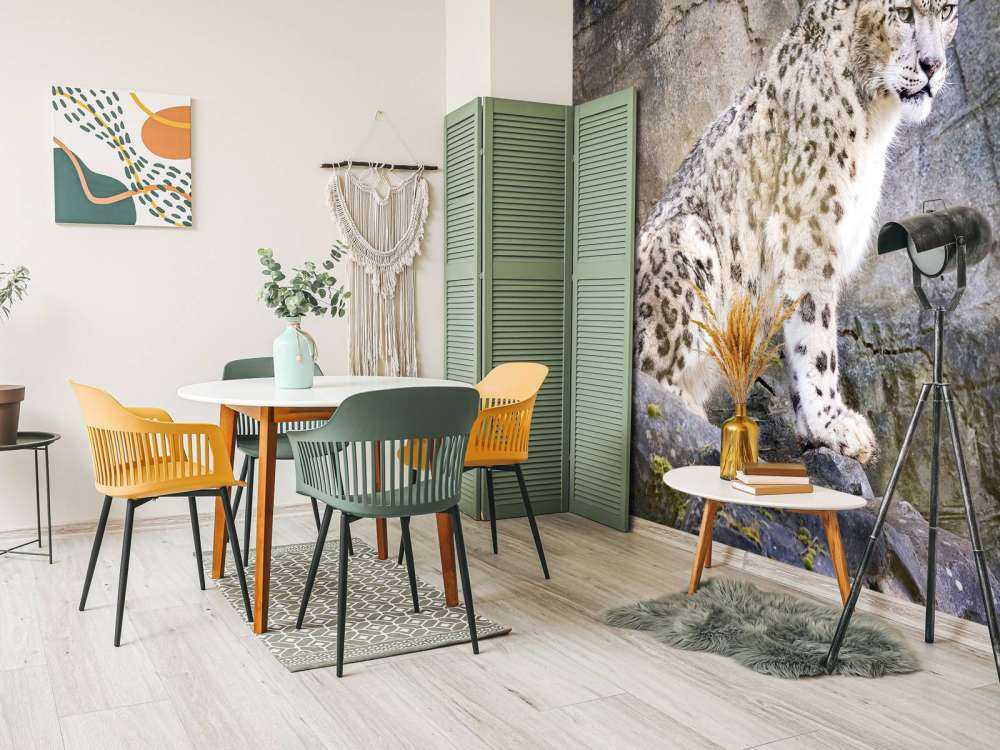 Volwassen sneeuwluipaard op een rots