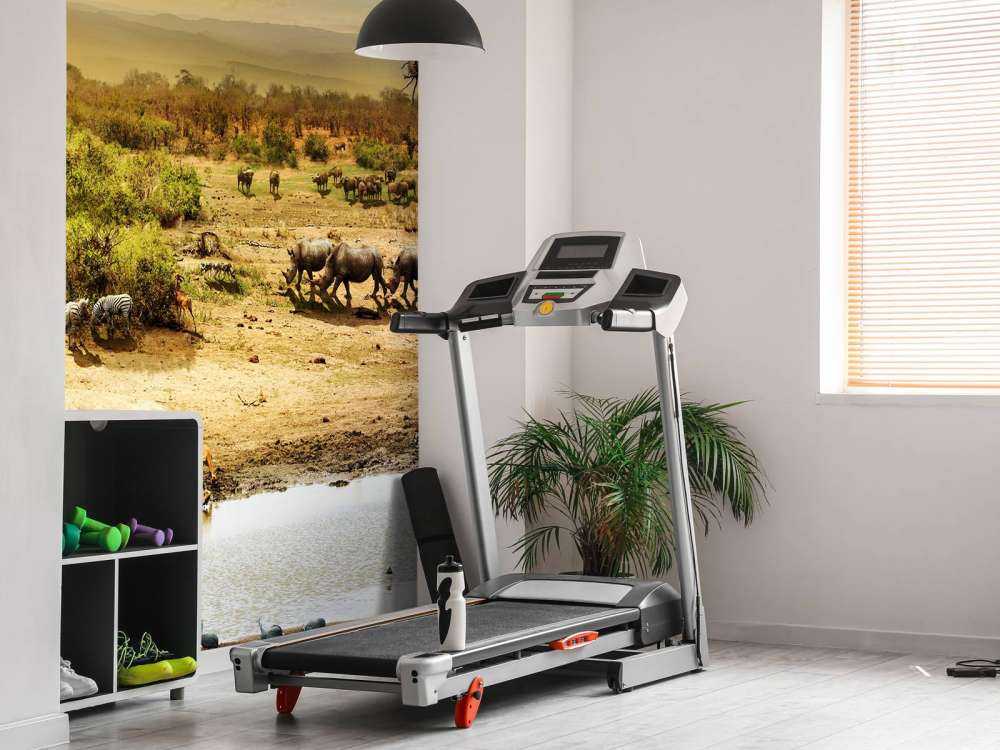 Dieren in de Afrikaanse savanne