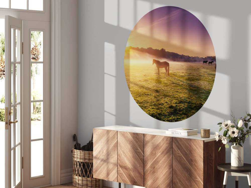 Grazende paarden bij zonsondergang