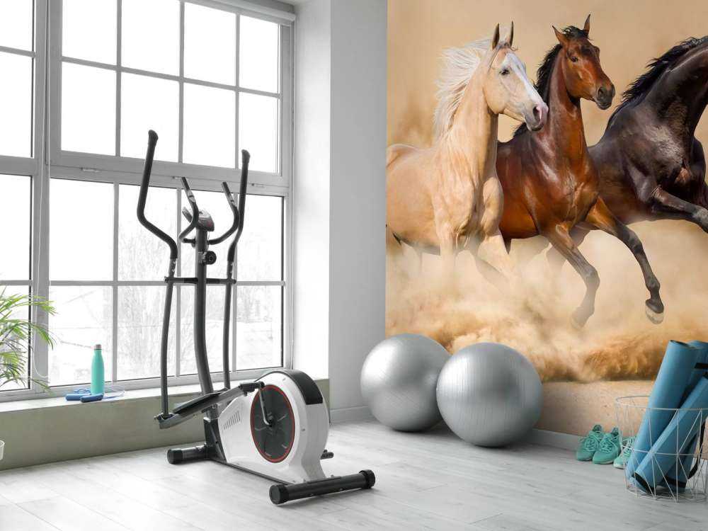 Rennende paarden in de woestijn