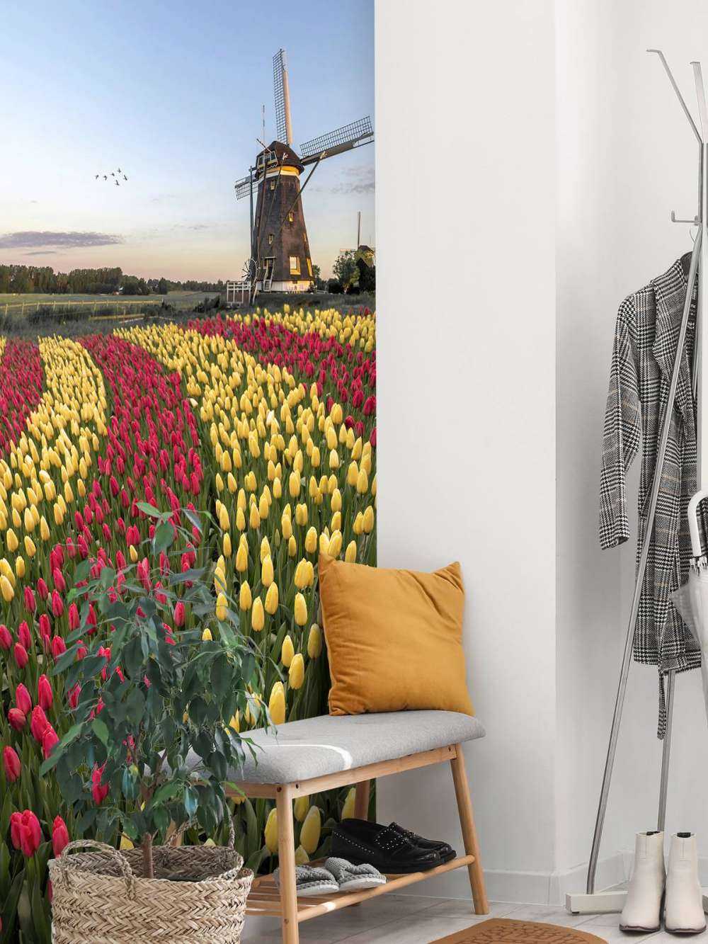 Nederlandse tulpenveld