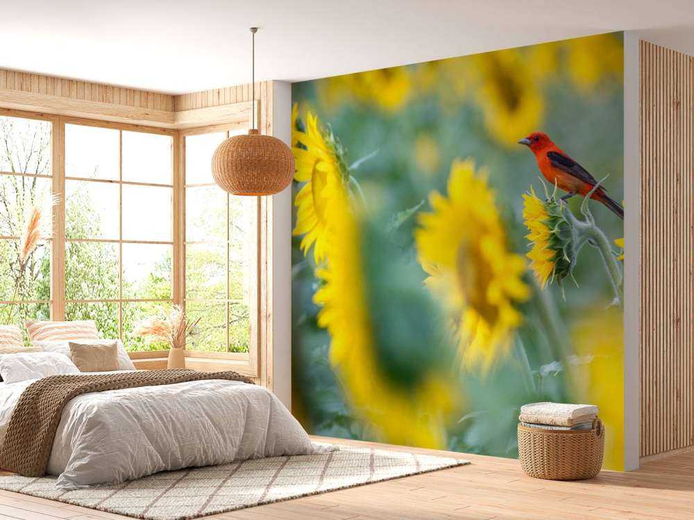 Zonnebloemenveld met rood vogeltje