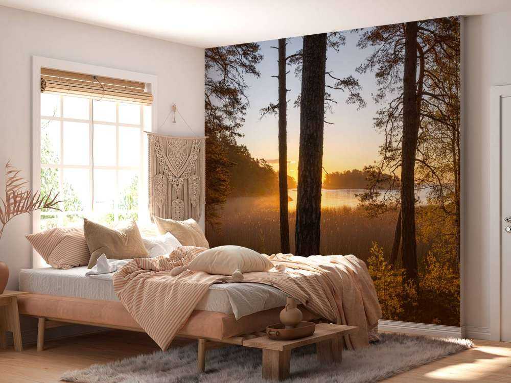 Bos tijdens zonsondergang