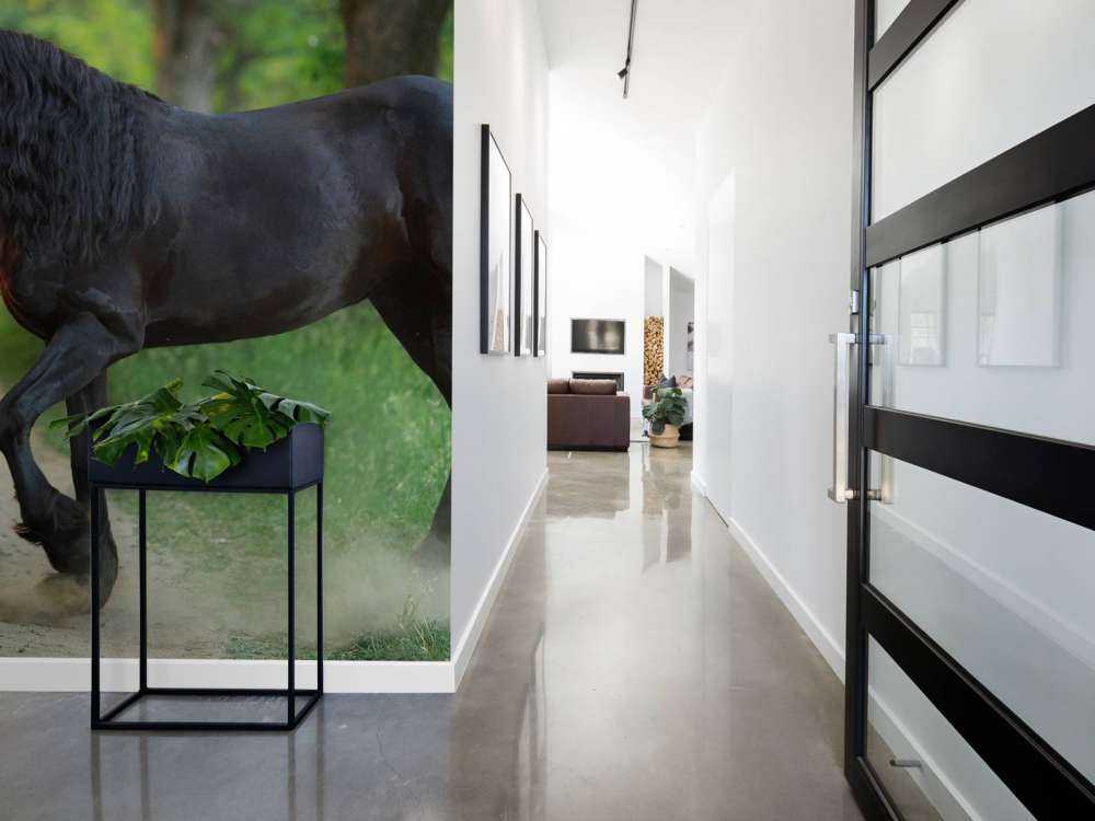 Fries Paard op een Zandweg