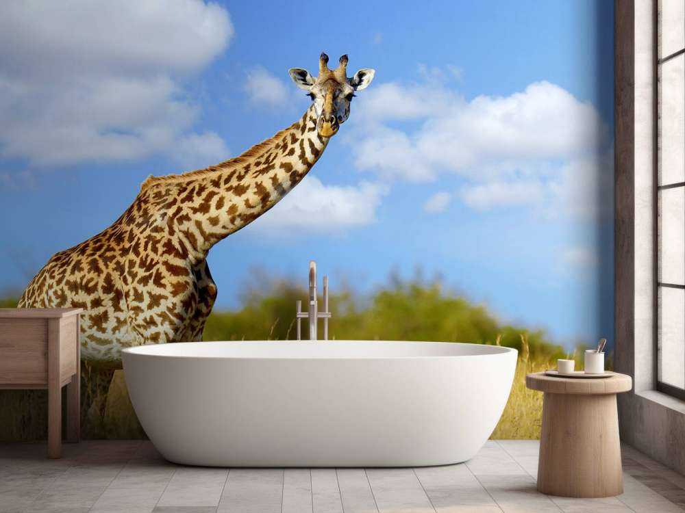 Giraffe met grappige houding