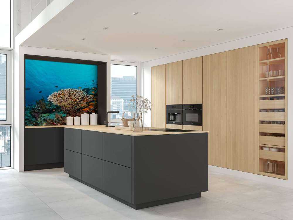 Koraalrif op de bodem van de Indische Oceaan