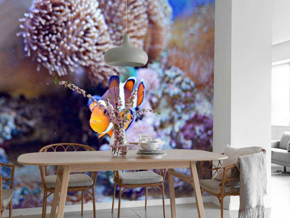 Anemoonvis in een koraalrif