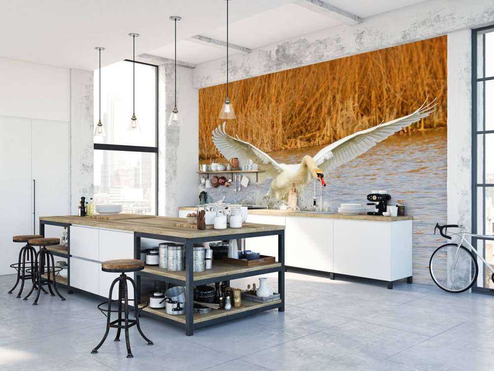 Witte zwaan vliegt weg