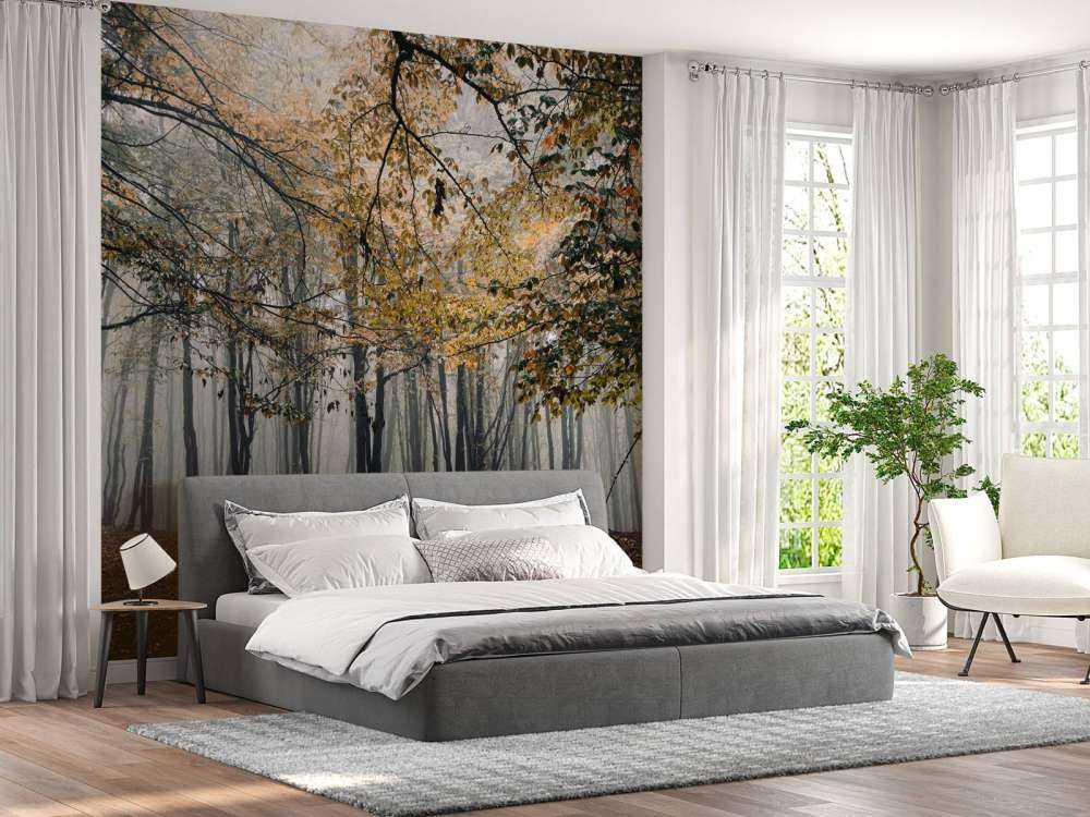 Mistig Herfst Bos met veel Bomen