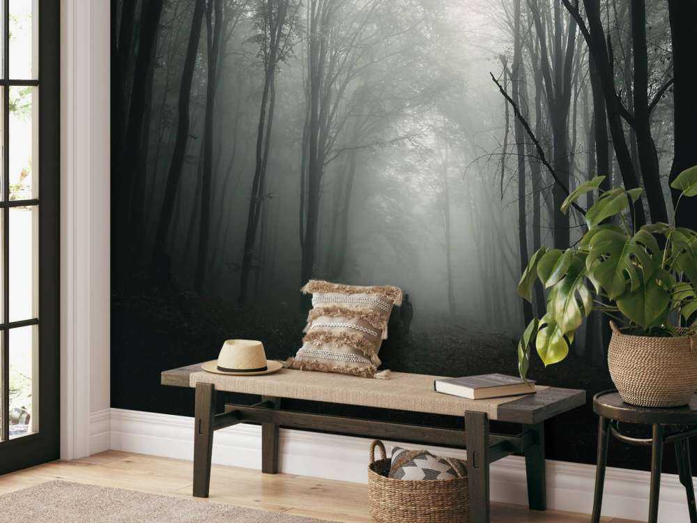 Mysterieuze Bos met Mist