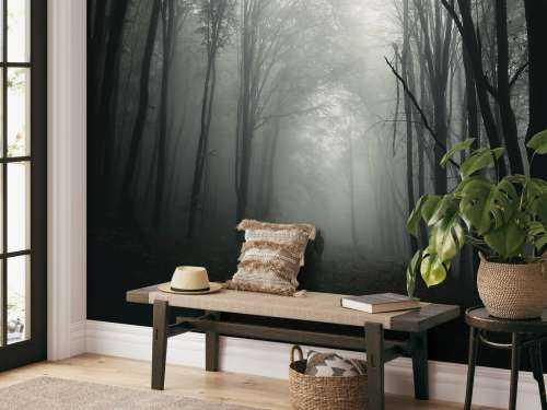 Mysterieuze Bos met Mist