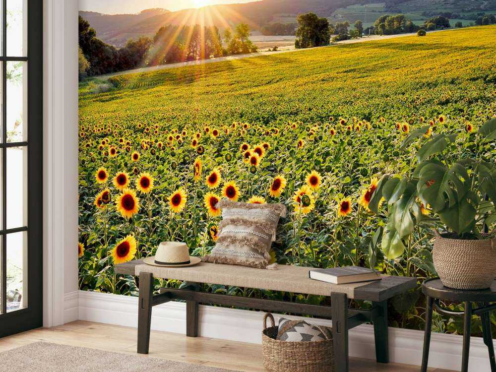 Berglandschap met zonnebloemen