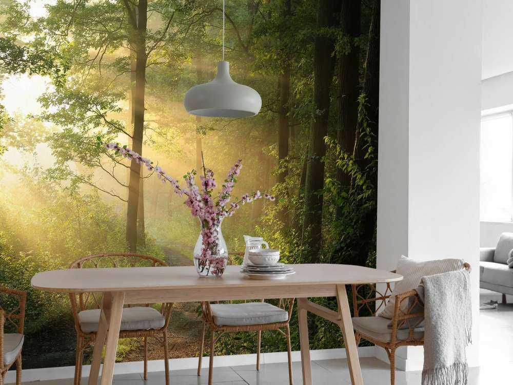 Mistige bosweg bij zonsopkomst