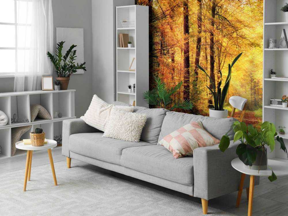 Zonsopkomst in het bos