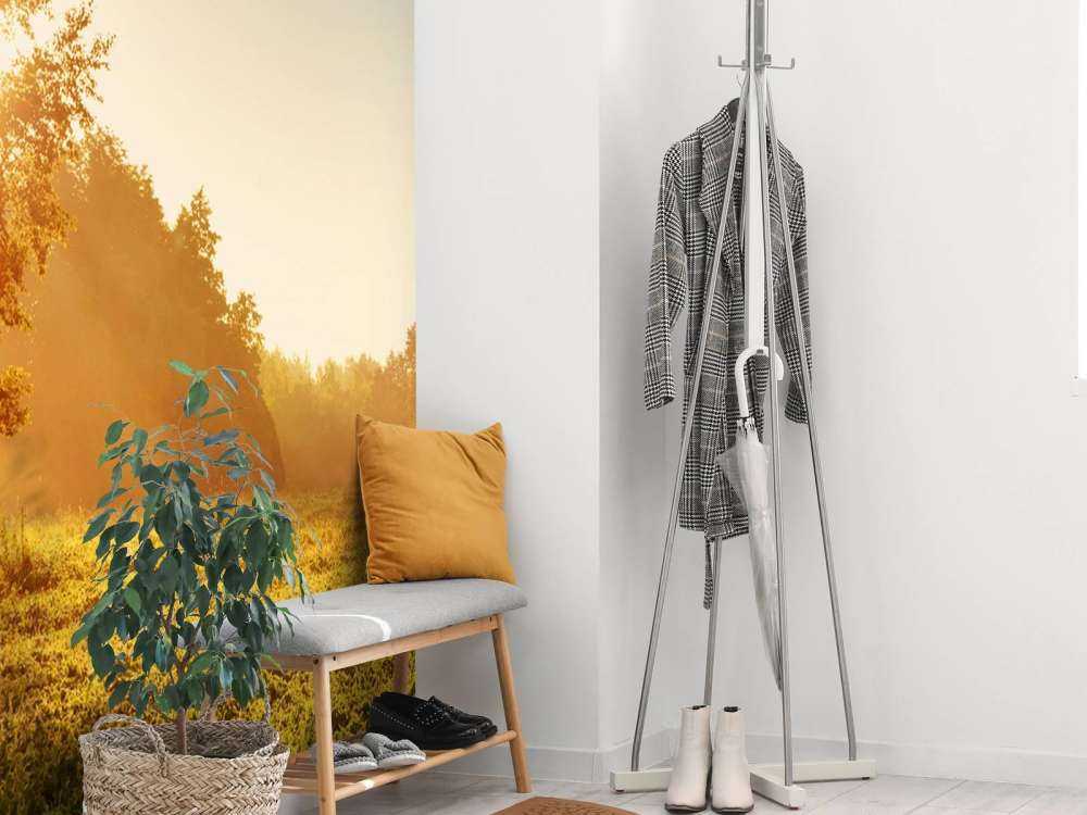 Weiland bij zonsopkomst