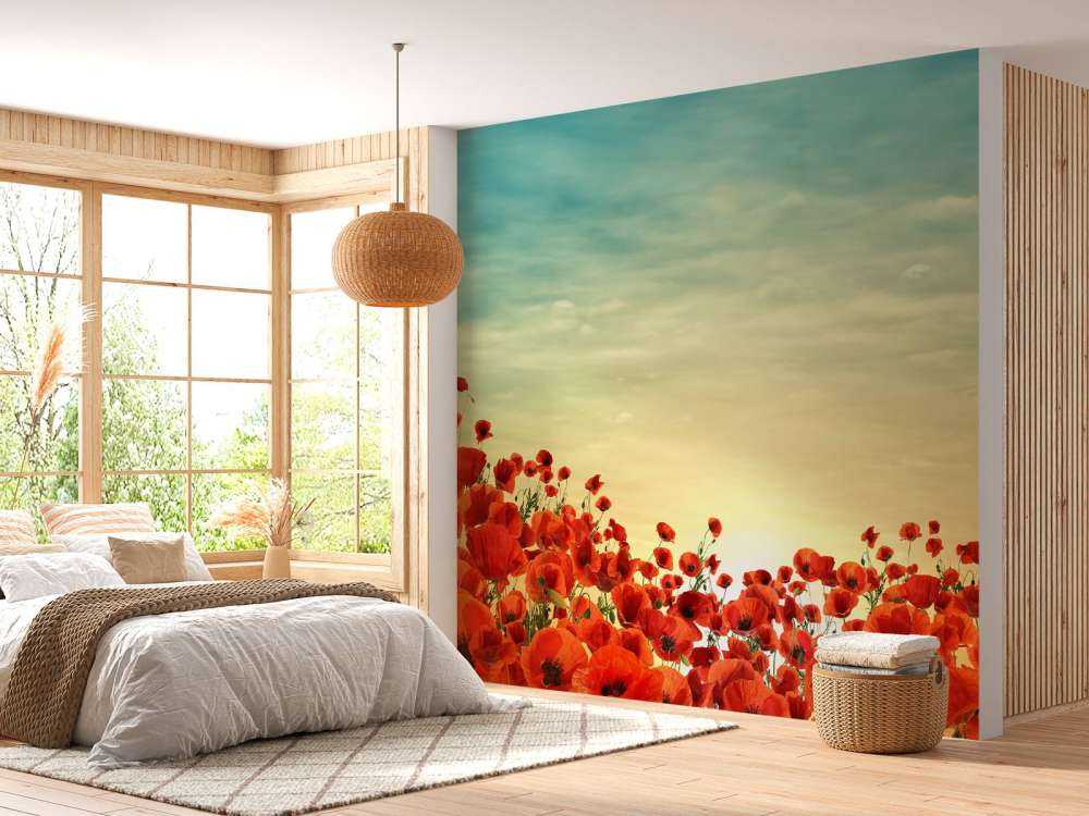 Klaprozen met zonsondergang