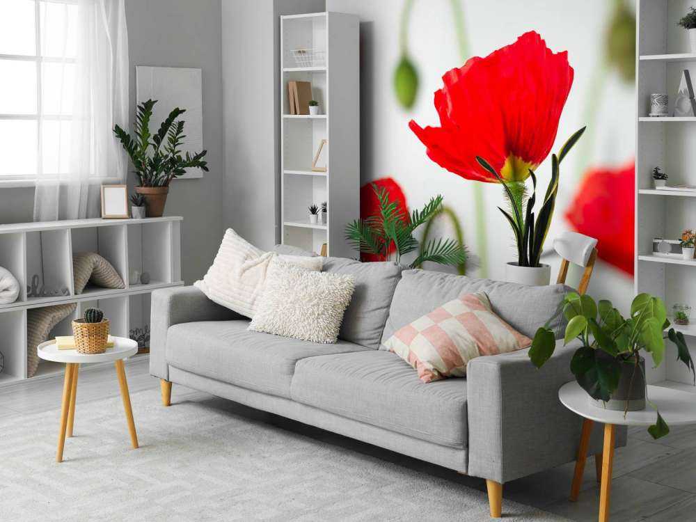 Close-up rode klaprozen