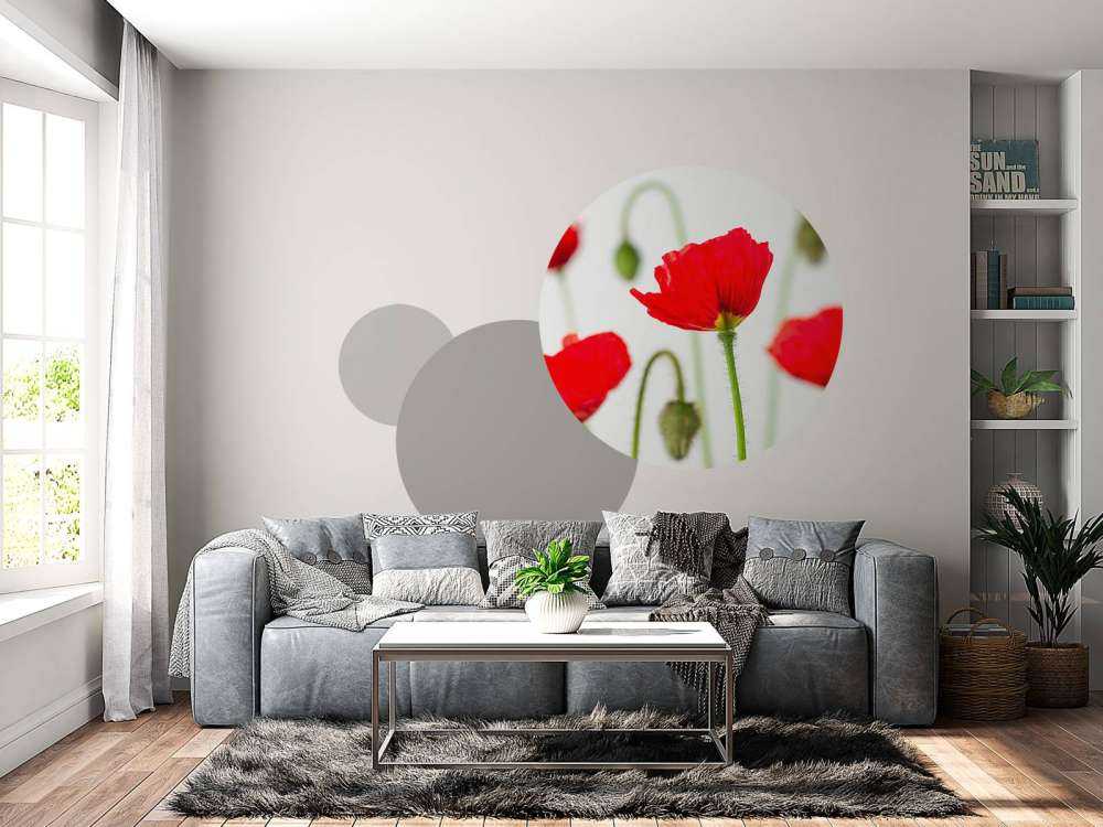 Close-up rode klaprozen