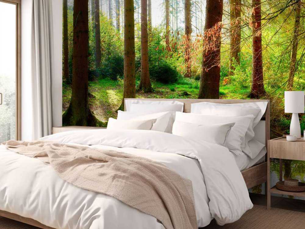 Herfstbos met helder zonlicht