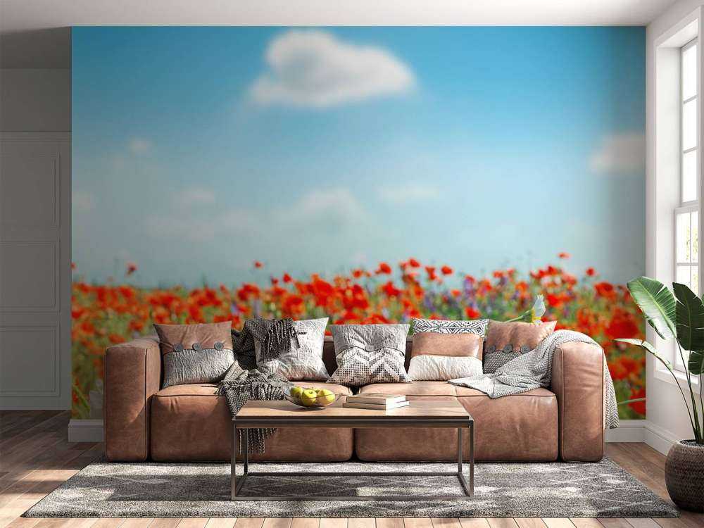 Klaprozen en Madeliefjes