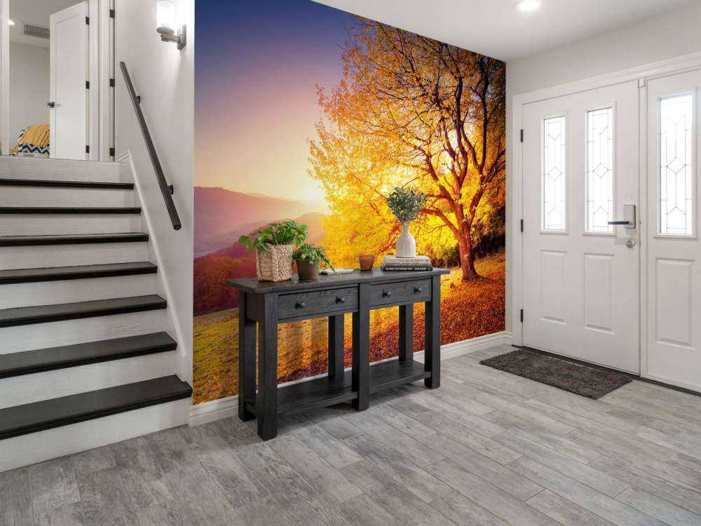 Prachtige beukenboom in de herfst