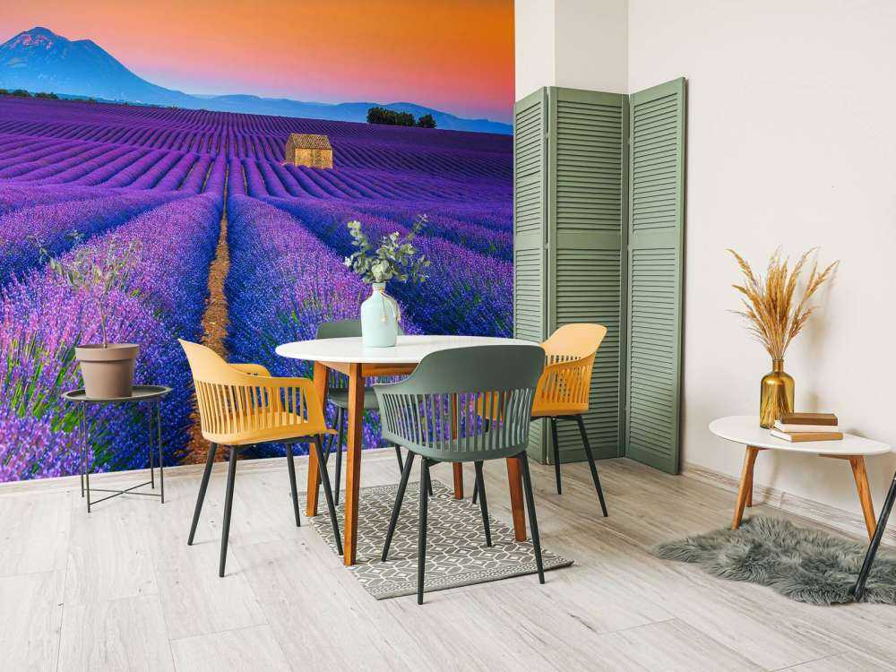 Prachtig bloemenveld van lavendel