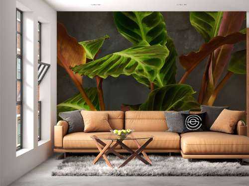 Plant met mooie groene bladeren