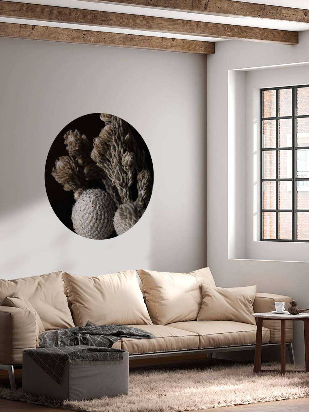 Close-up planten op zwart achtergrond