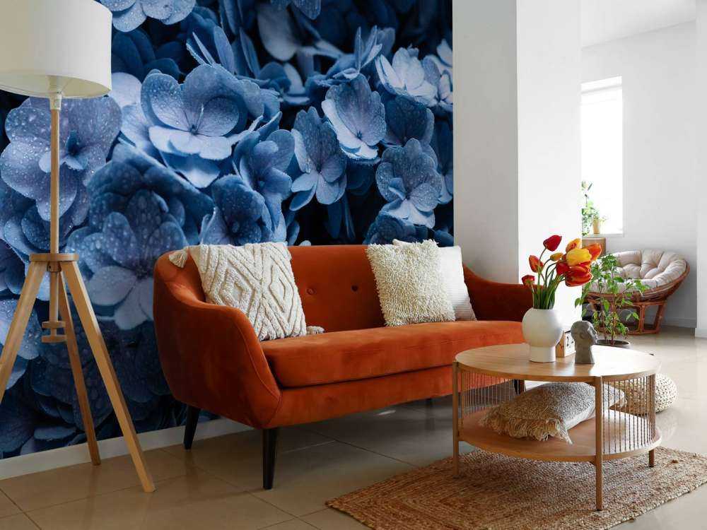 Close-up hortensia's