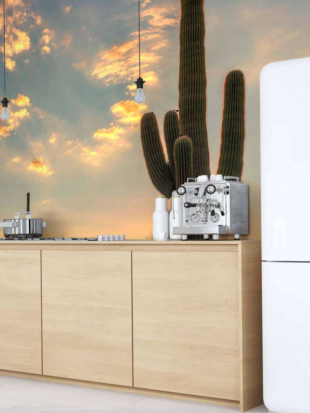 Cactus met zonsondergang