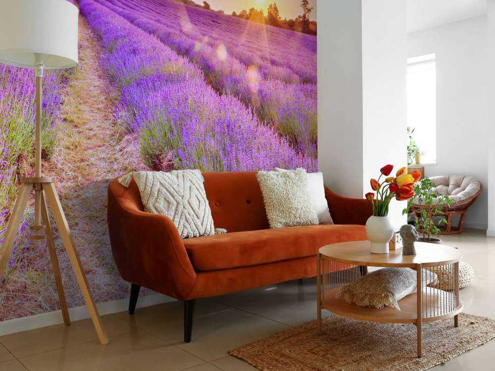 Lavender field at sunset