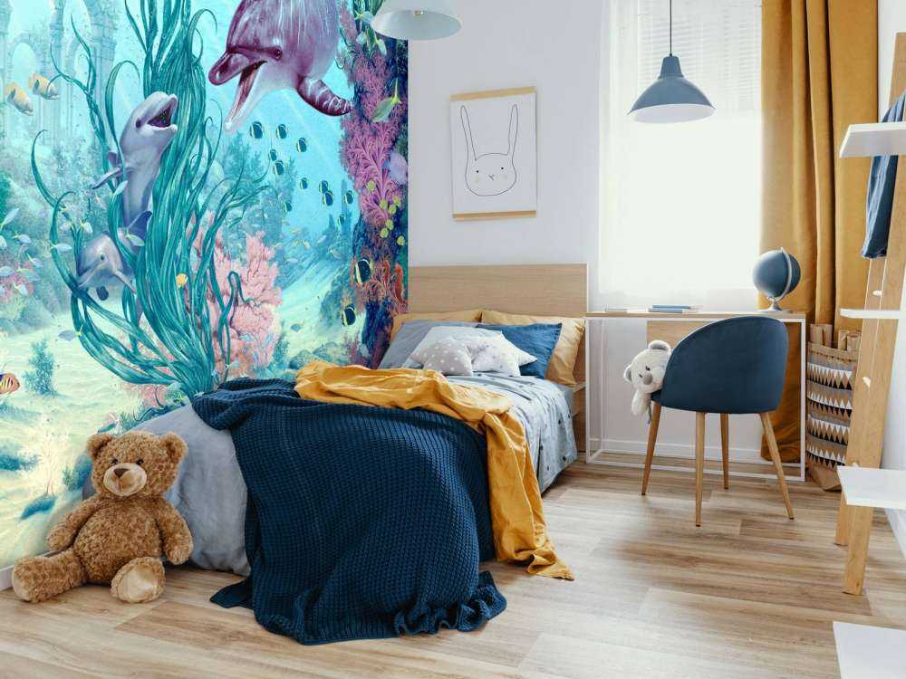 Hide And Seek Dolphins