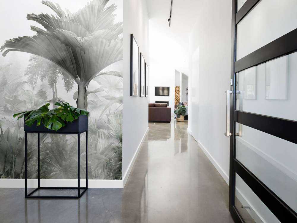 Monochrome Jungle Mist