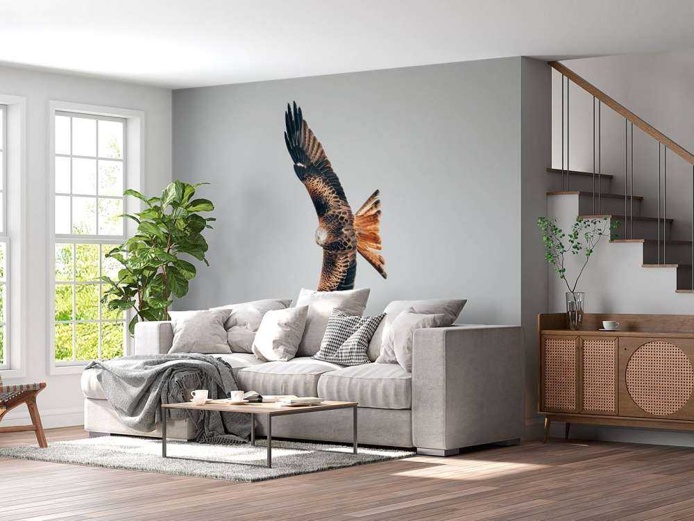 Rode wouw met gespreide vleugels