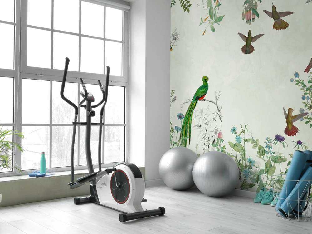 Fields Flower and Birds 24