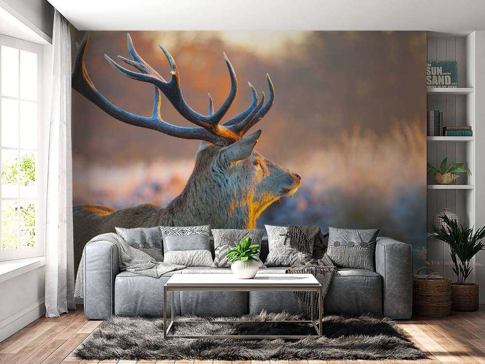 Hert met Wazige achtergrond