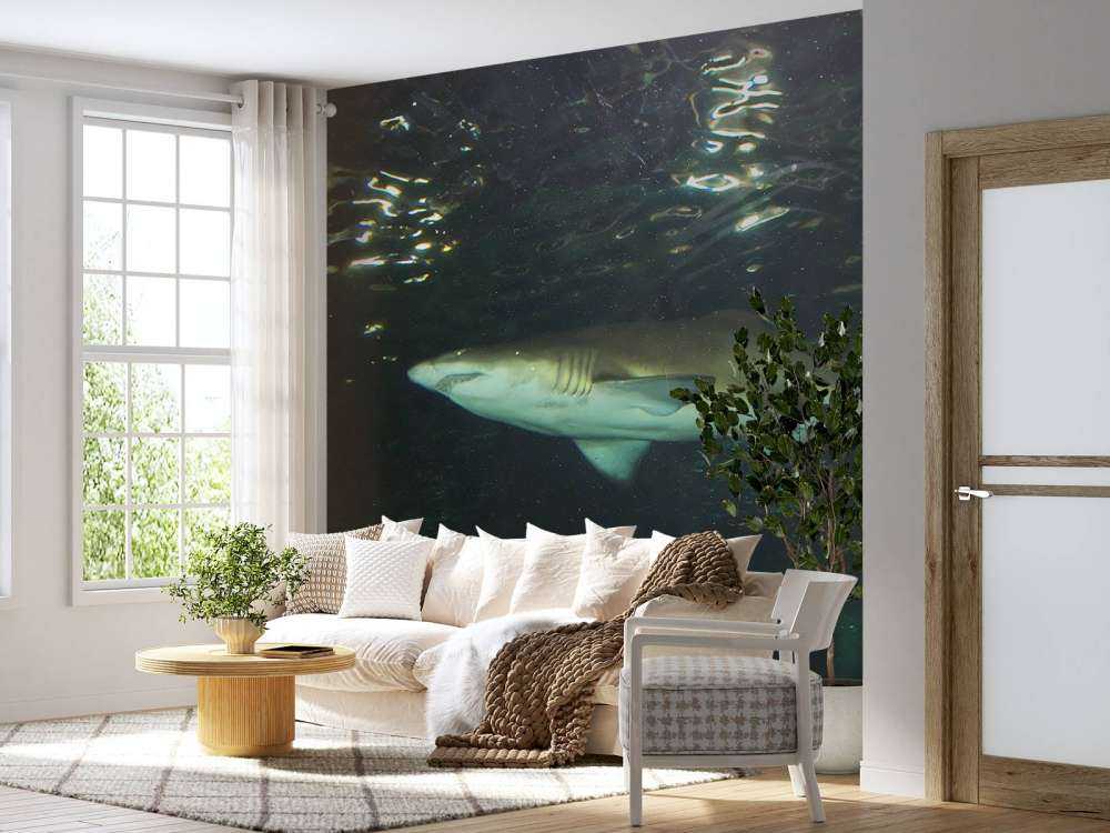 Grote witte haai in een aquarium