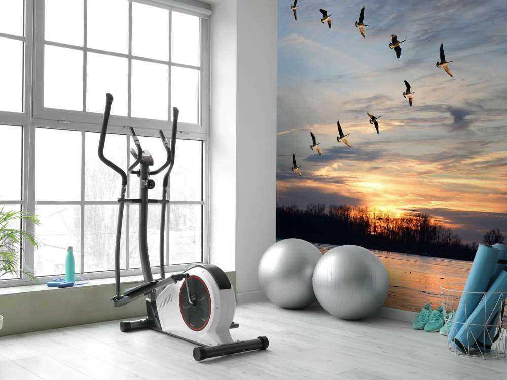 Grote Canadese ganzen in V-formatie