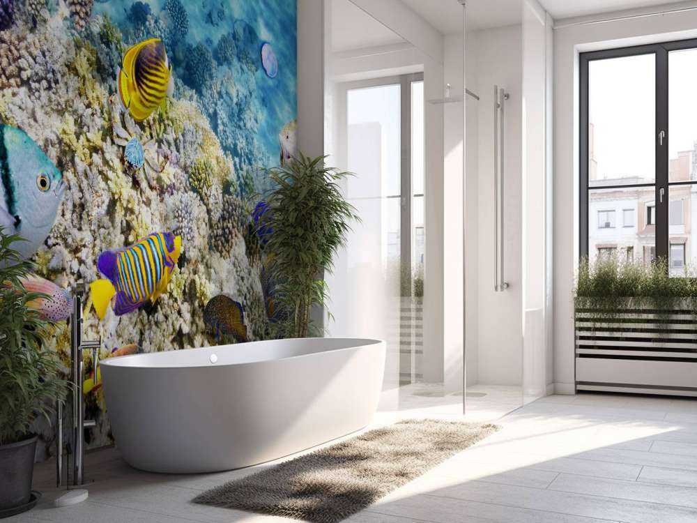 Exotische vissen en koralen