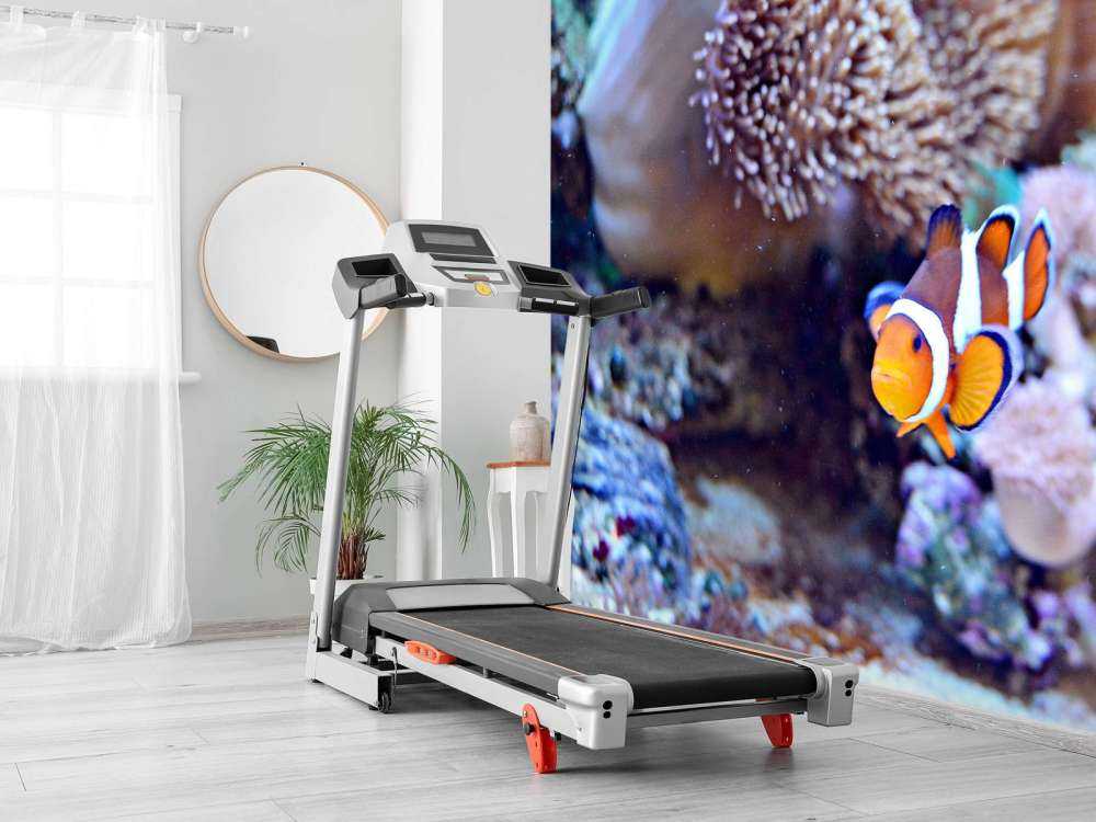 Anemoonvis in een koraalrif