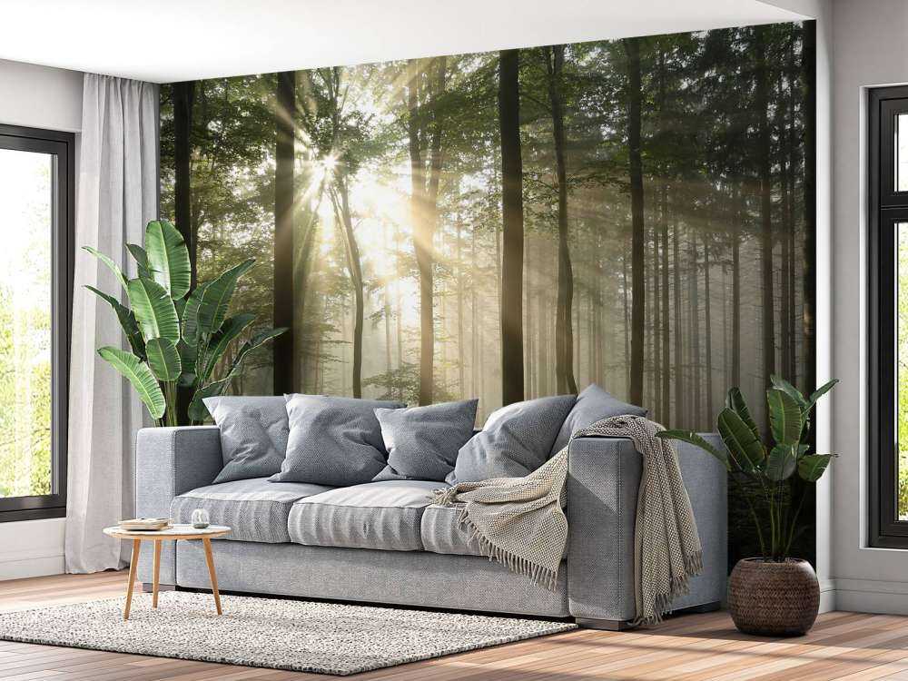 Zonlicht achter Bomen in Bos