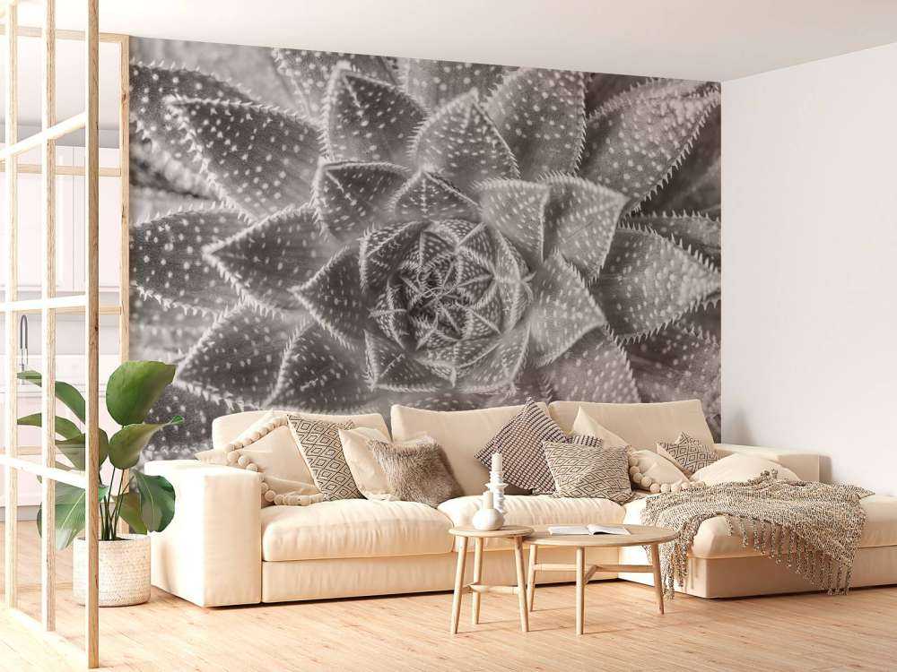 Close-up vetplant in zwart-wit