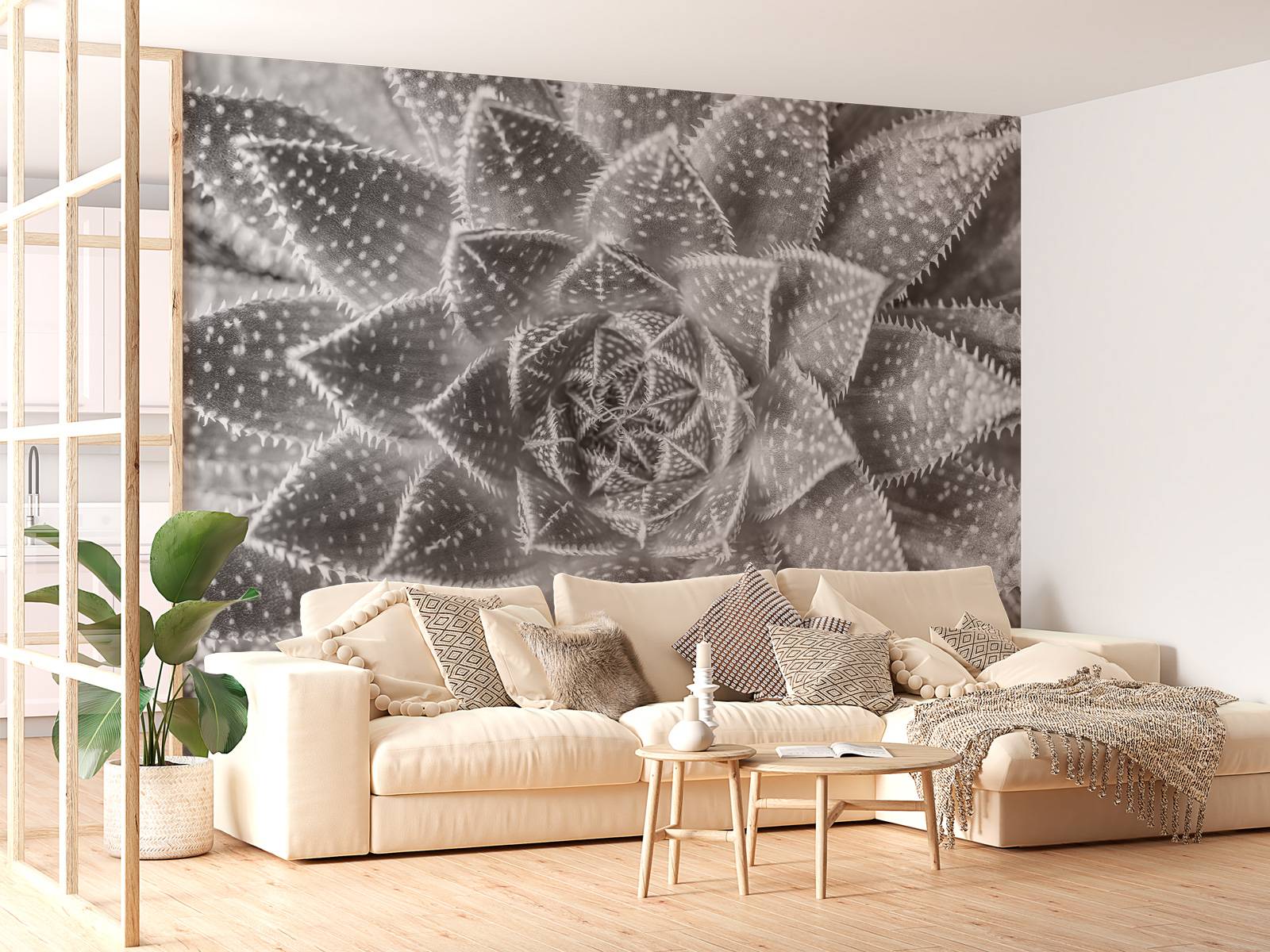 Close-up vetplant in zwart-wit - Fotobehang, image size:1600x1200