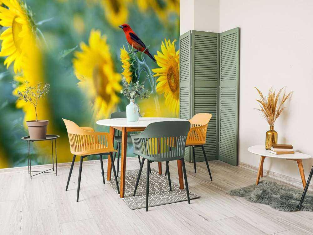 Zonnebloemenveld met rood vogeltje