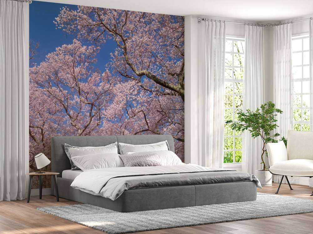 Bloesems met blauwe lucht