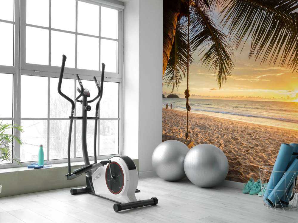 Palmboom bij zonsondergang