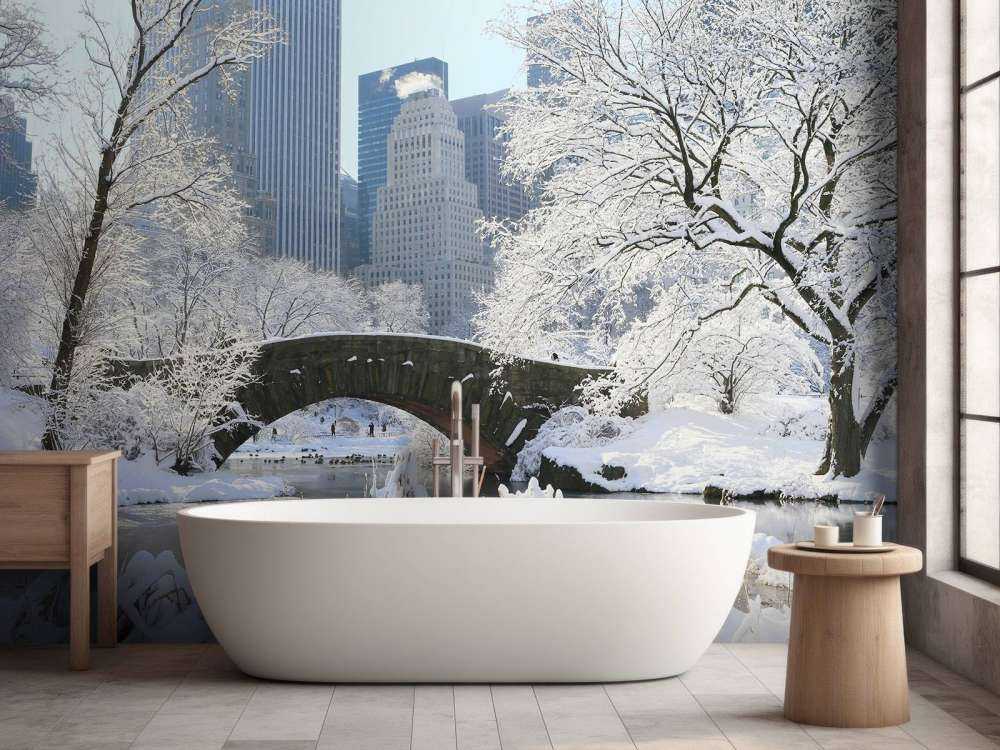 Winter in New York