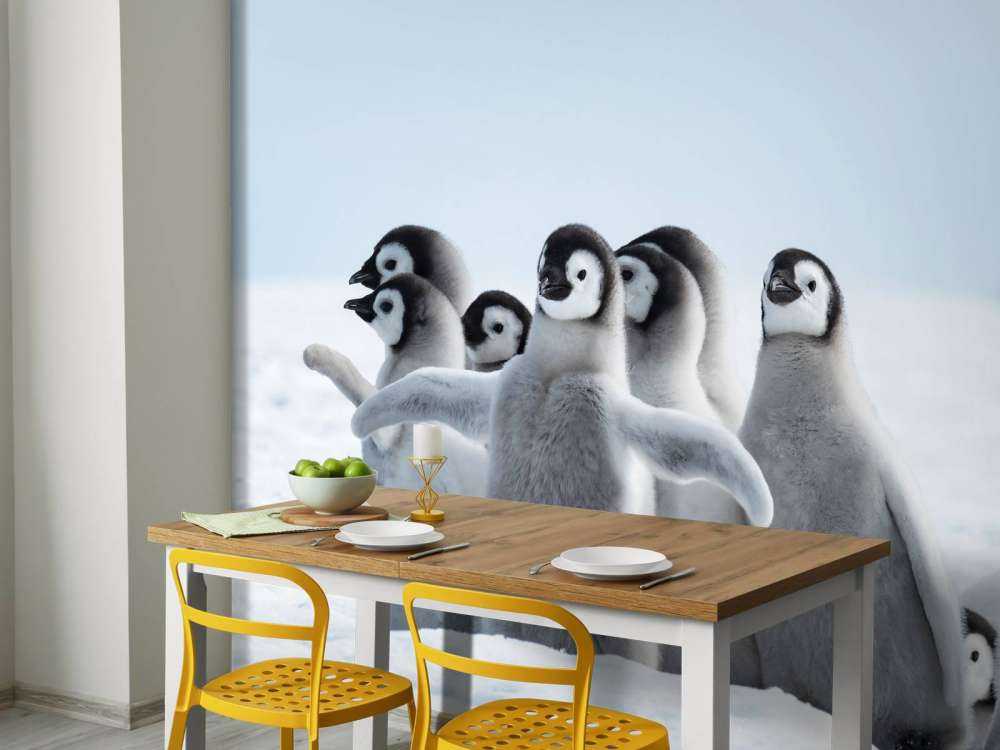 Keizerspinguïns in de sneeuw